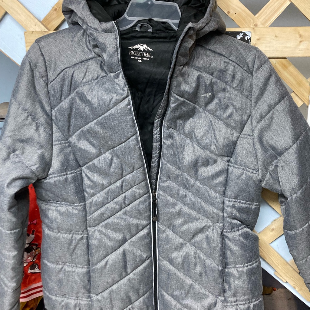 Gray Snow Jacket